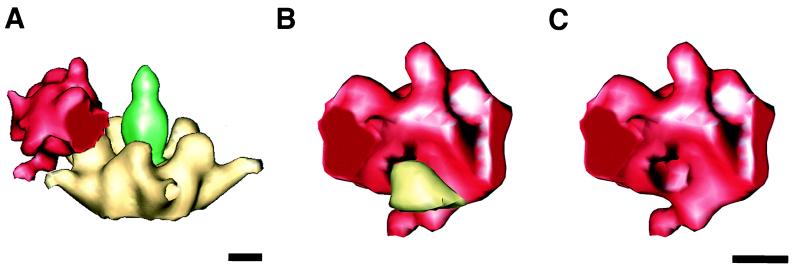 FIG. 7