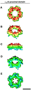 FIG. 5