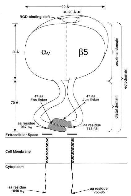 FIG. 8