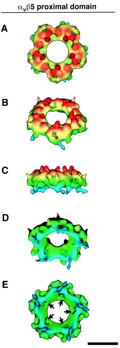 FIG. 5