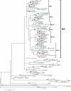 FIG. 2.