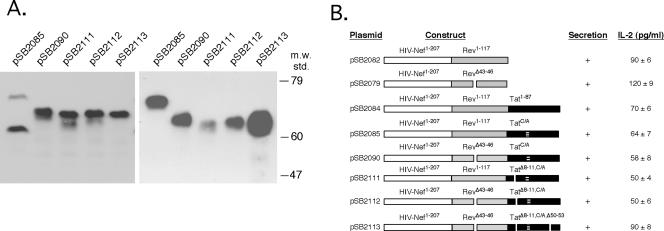 FIG. 5.