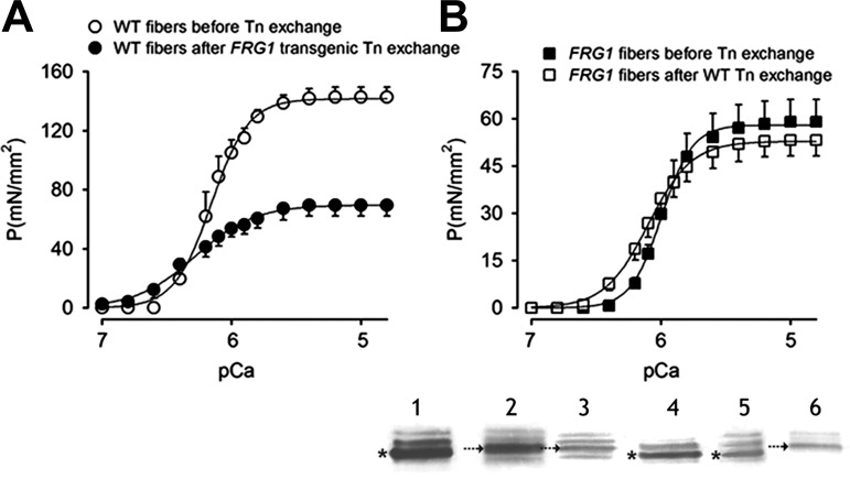 Fig. 9.