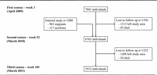 Fig. 2