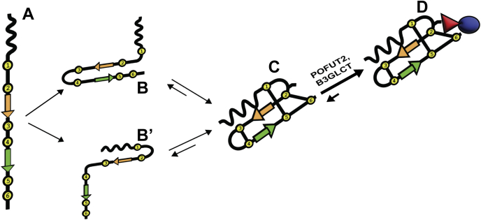 Figure 6