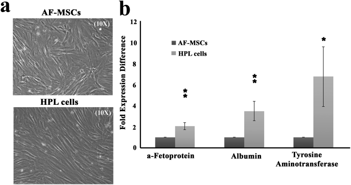 Supplementary Fig. S1