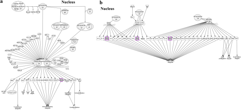 Supplementary Fig. S2