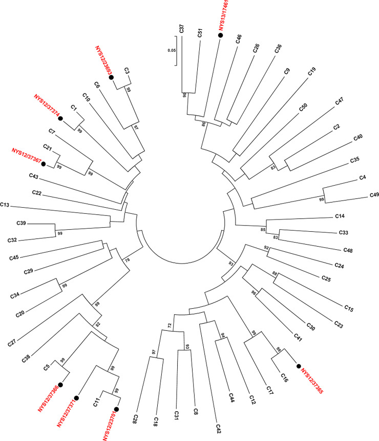 Fig. 1