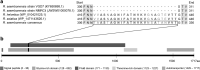 FIG. 1.
