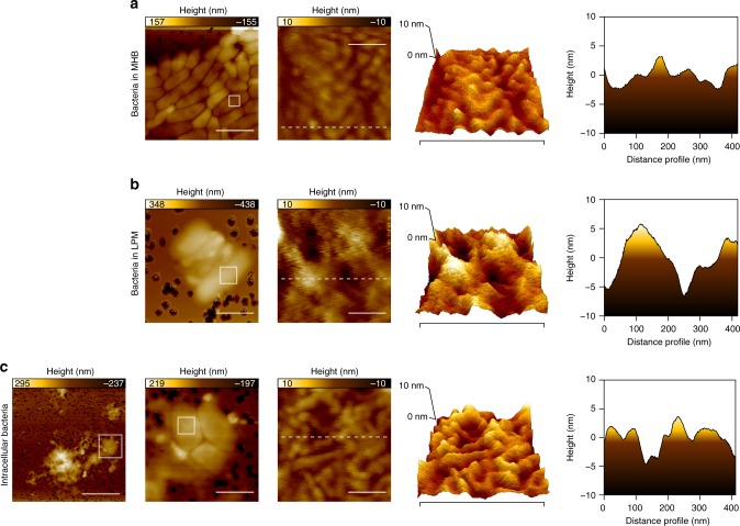 Fig. 4