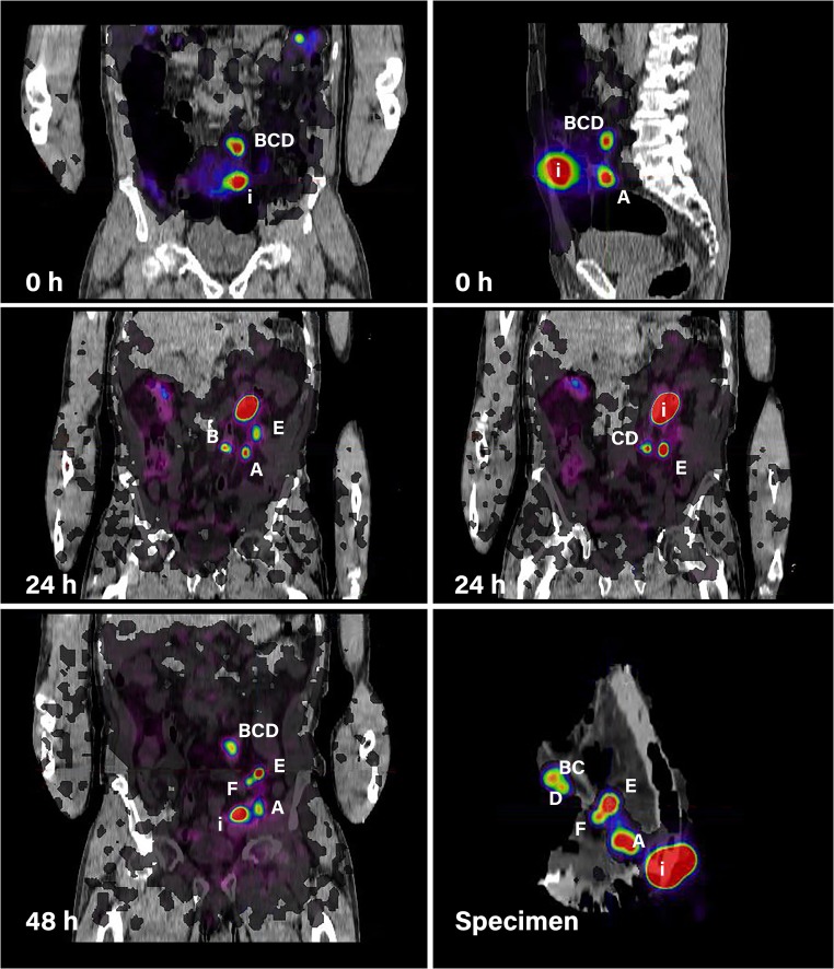Fig. 2