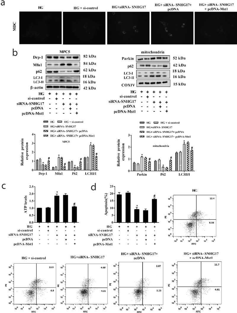 Figure 6.