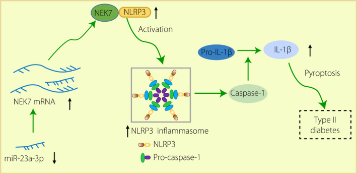 Figure 6