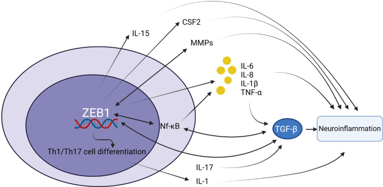 Fig. 2
