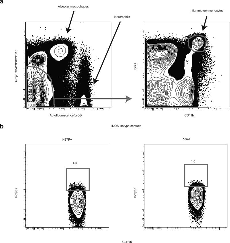 Extended Data Fig. 7