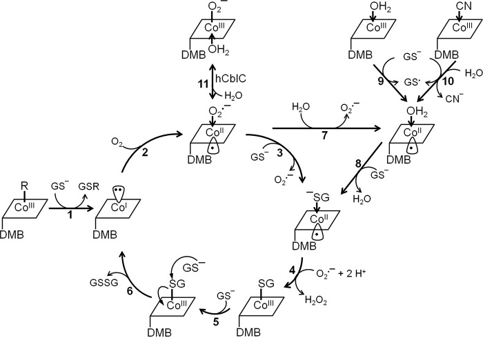 Figure 7.