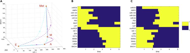 Figure 3