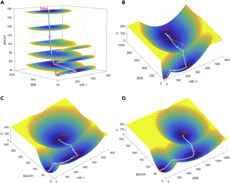 Figure 2