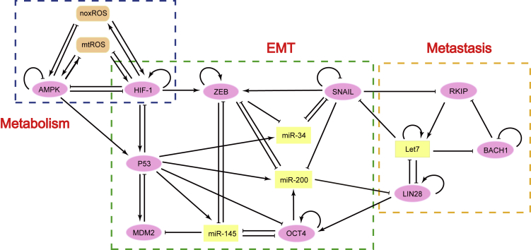 Figure 1