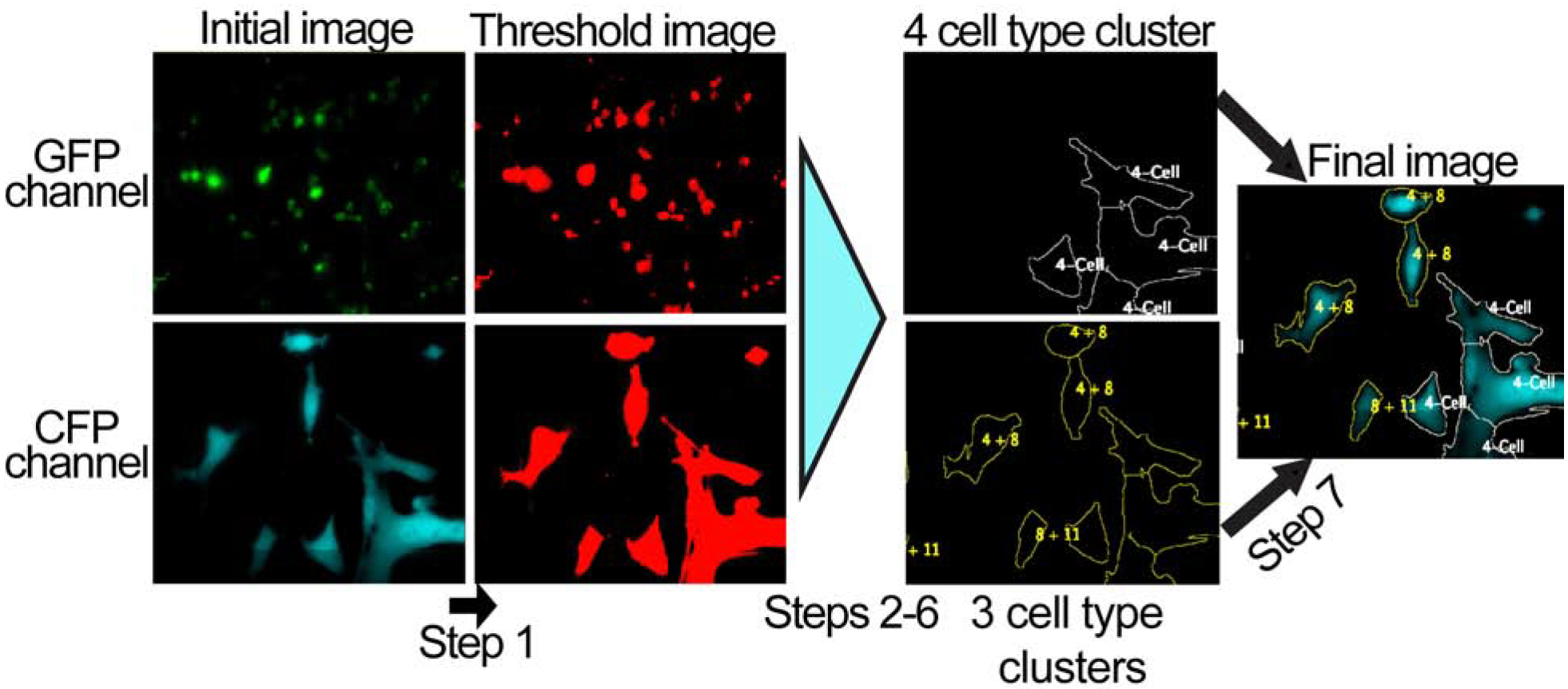 Fig. 4.