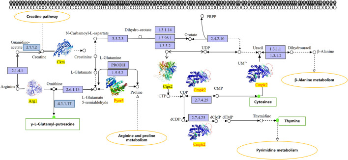 FIGURE 6