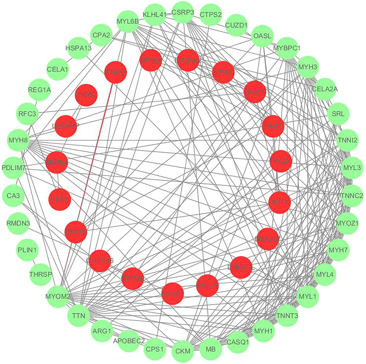 FIGURE 3