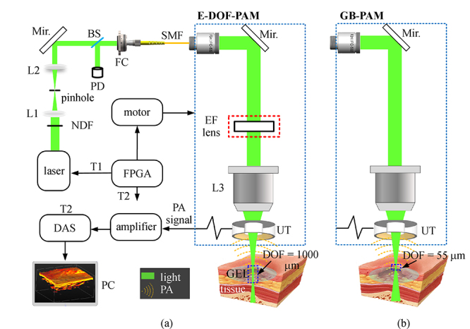 graphic file with name 12200_2020_1040_Fig1_HTML.jpg