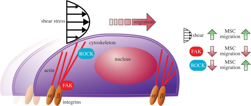 Figure 6.