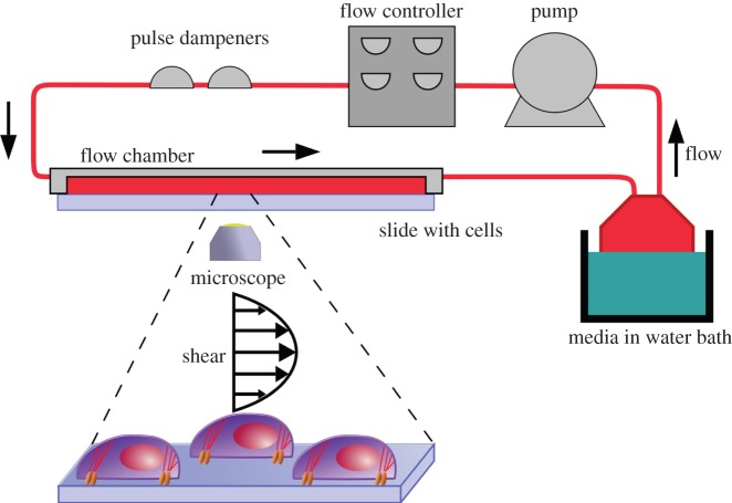 Figure 1.