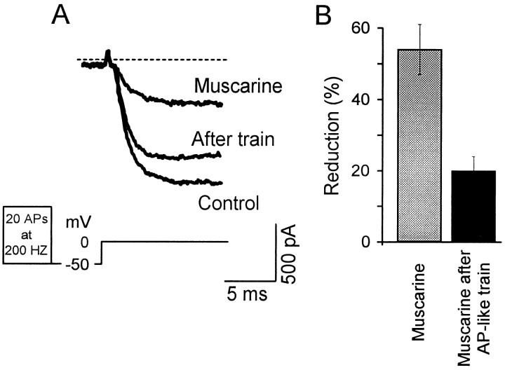 Fig. 5.