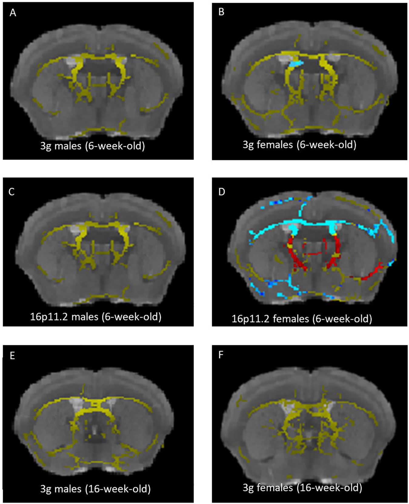 Figure 4.