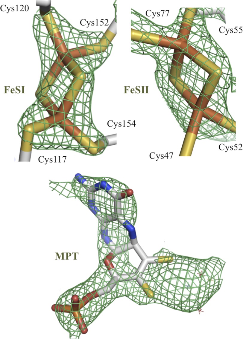 FIGURE 2.