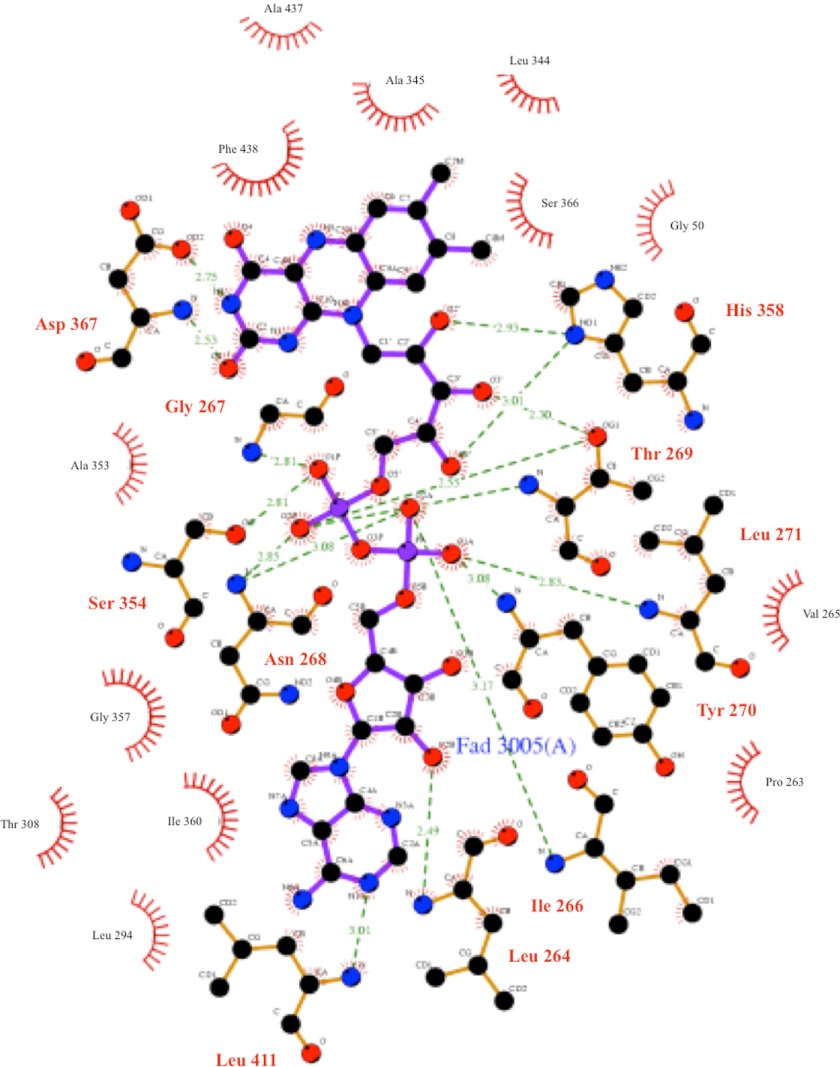 FIGURE 3.