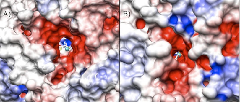 FIGURE 7.