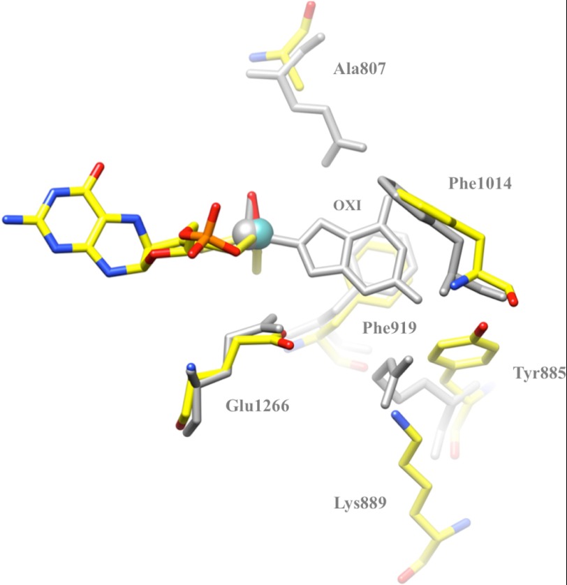 FIGURE 6.