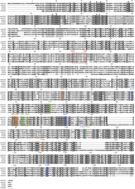 FIGURE 4.