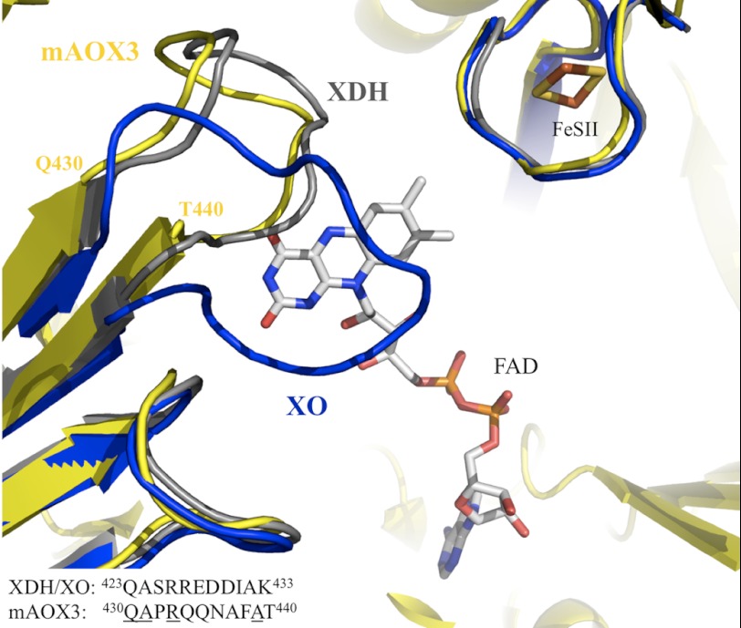 FIGURE 5.