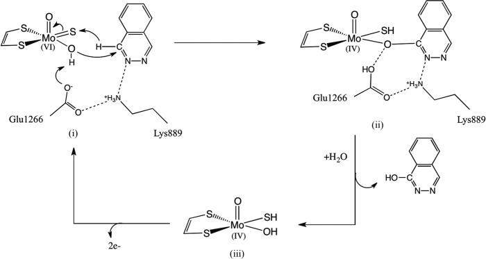 FIGURE 9.