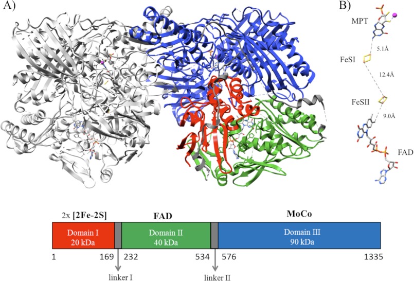 FIGURE 1.