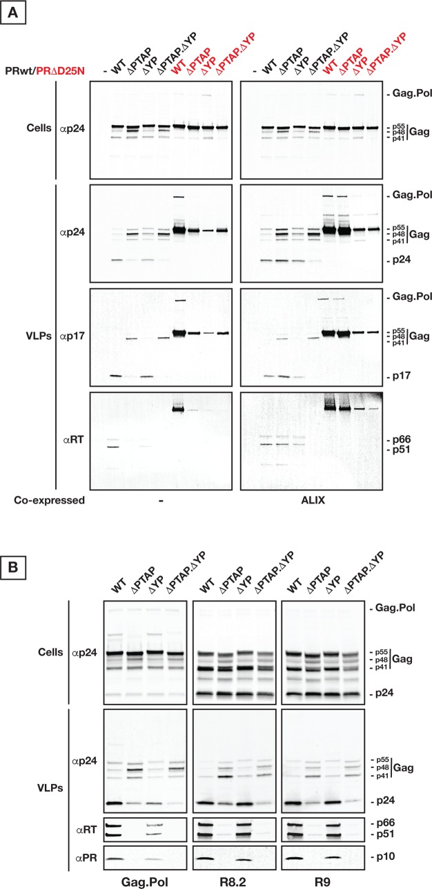 Fig 4