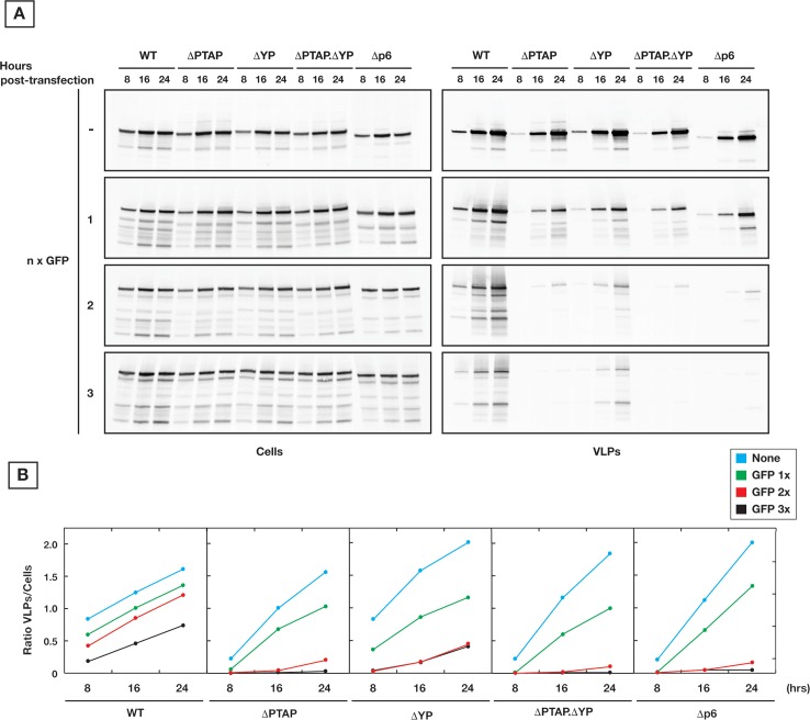 Fig 6