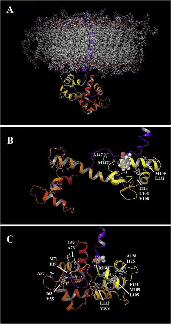 Fig. 8.