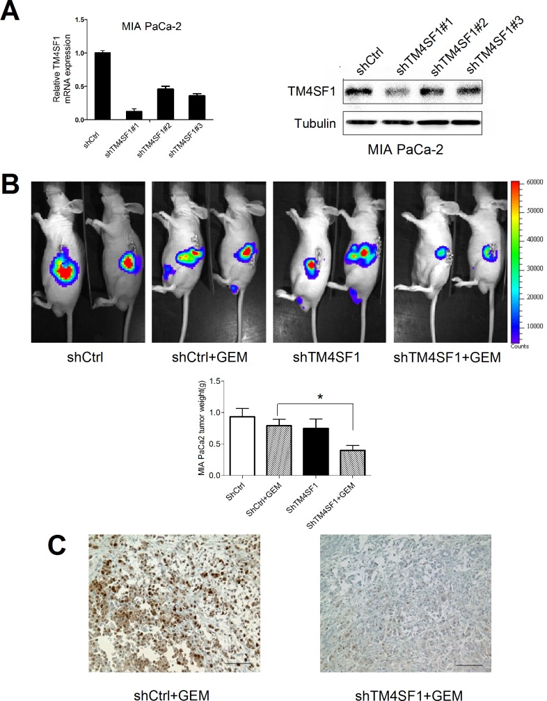 Fig 4