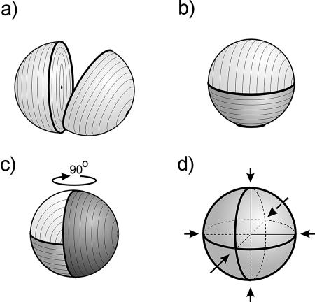 FIG. 5.