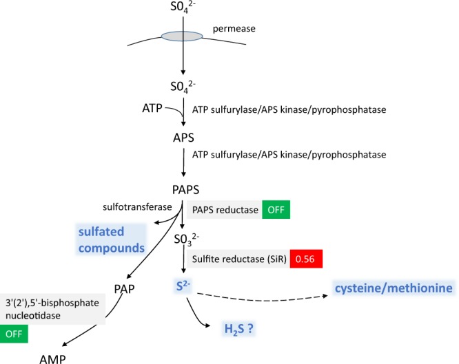 Figure 7