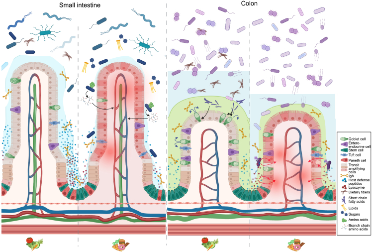 Figure 4