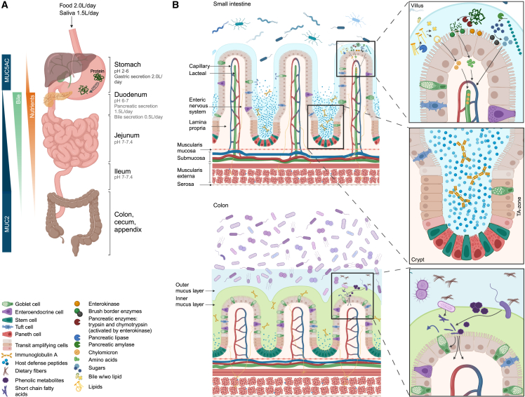 Figure 1