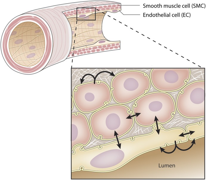 Fig. 1.