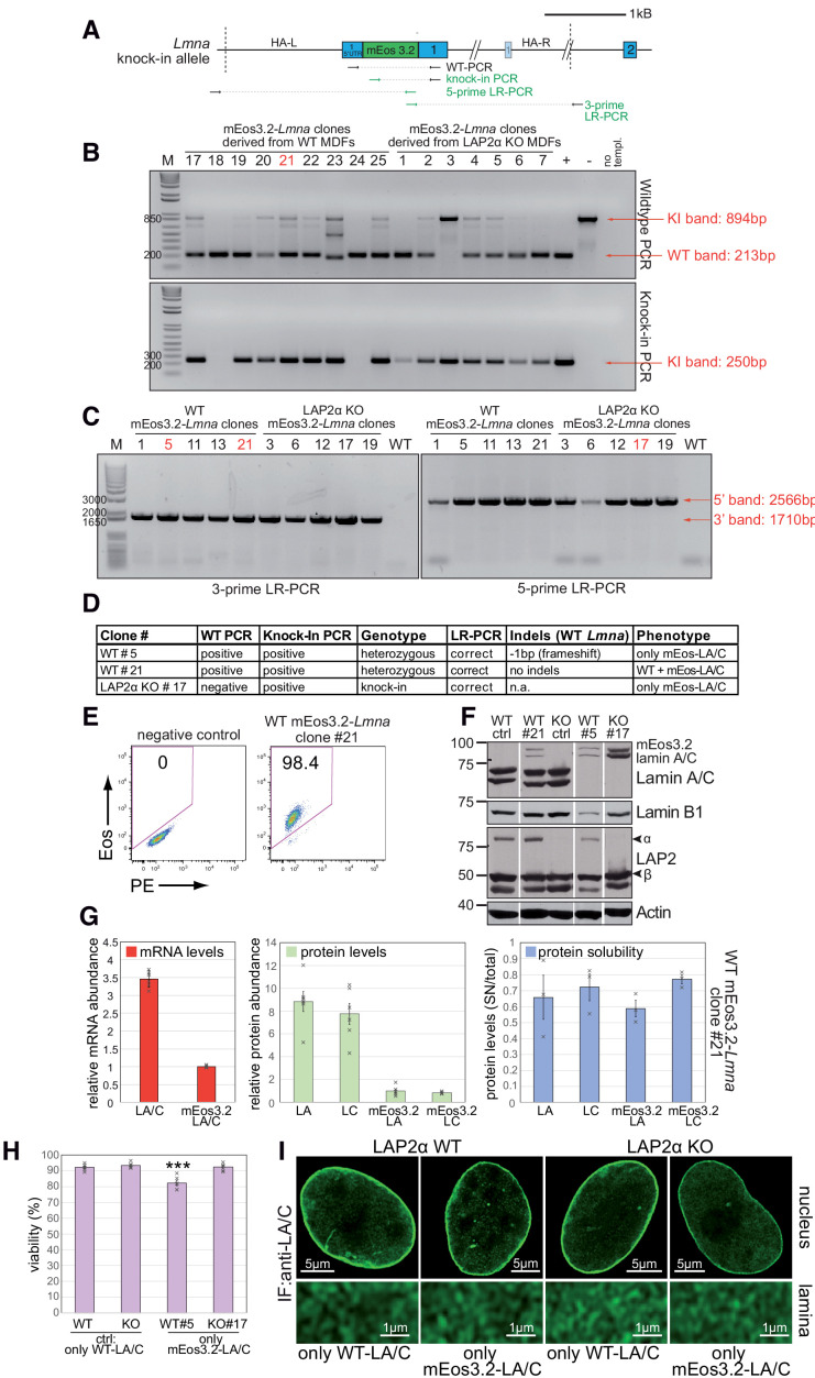 Figure 2—figure supplement 1.