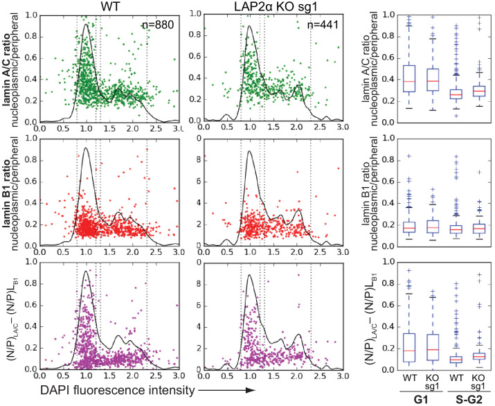 Figure 2—figure supplement 3.